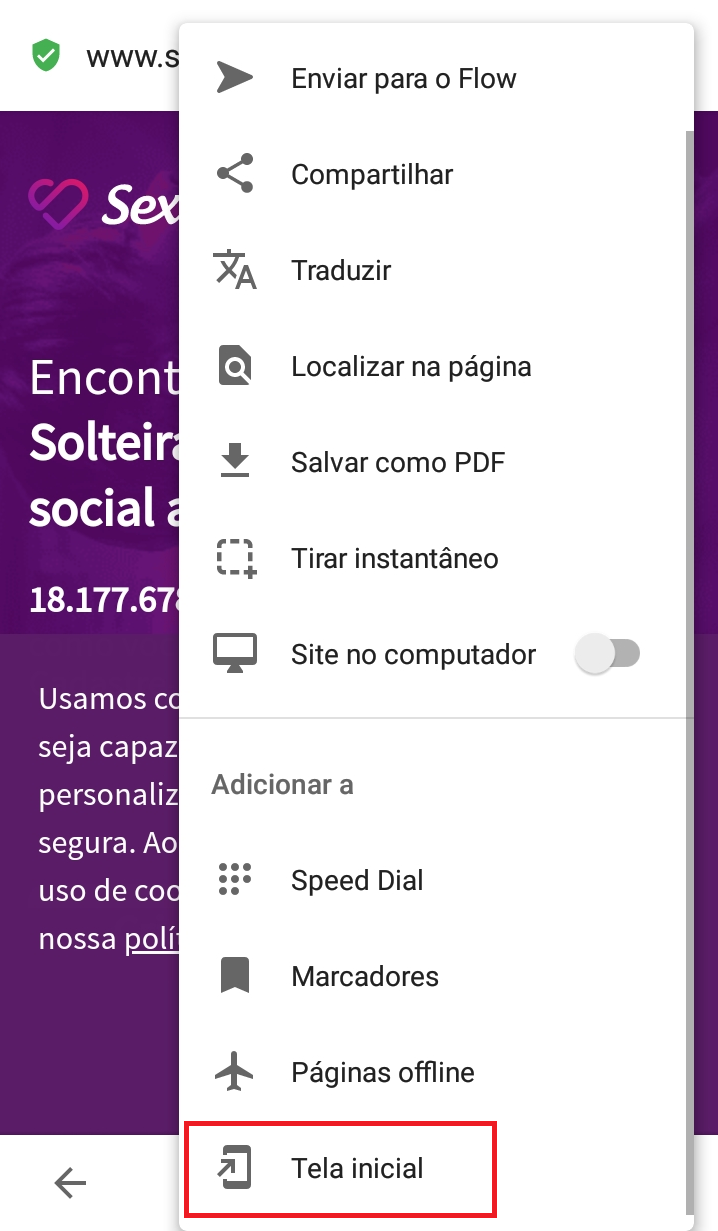 Opção Tela Inicial no Opera