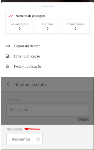 Editar publicação