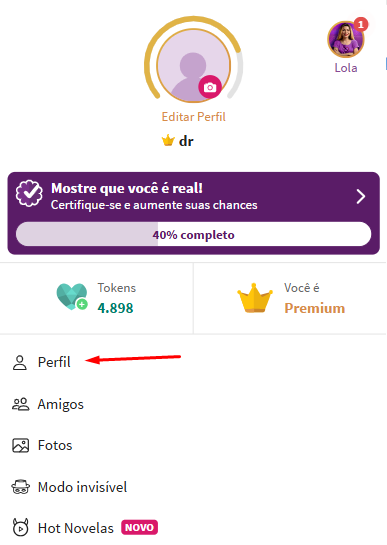 Opção Perfil na tela
