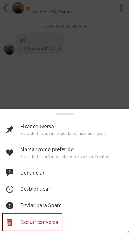Excluir conversa inteira